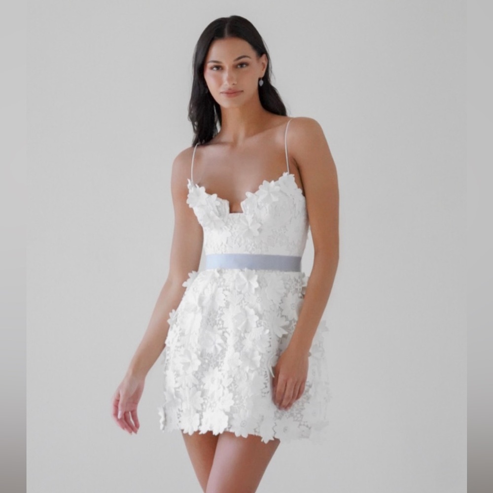 By Watters Violeta Dress Size 10